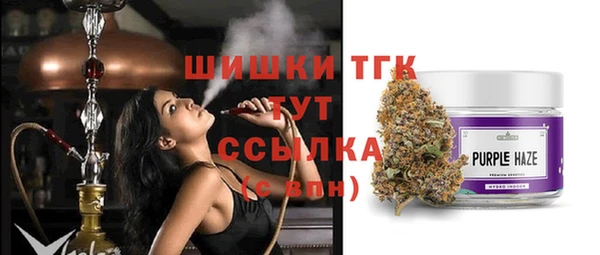 Альфа ПВП Верея