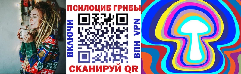 Псилоцибиновые грибы Psilocybe  Вяземский 