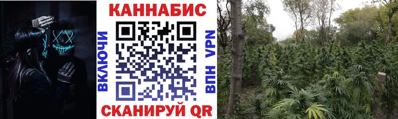 что такое наркотик  omg сайт  Бошки марихуана тримм  Вяземский 